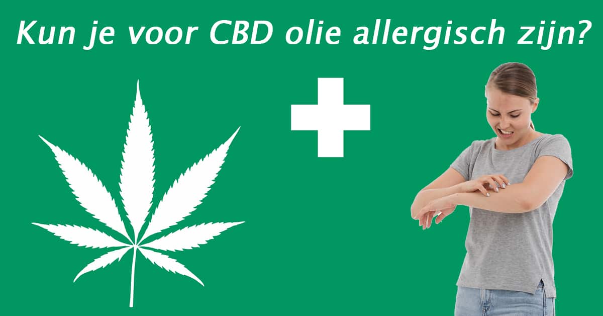 Kun je voor CBD olie allergisch zijn?