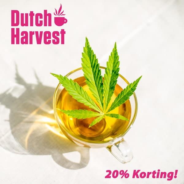 Dutch Harvest hennepthee